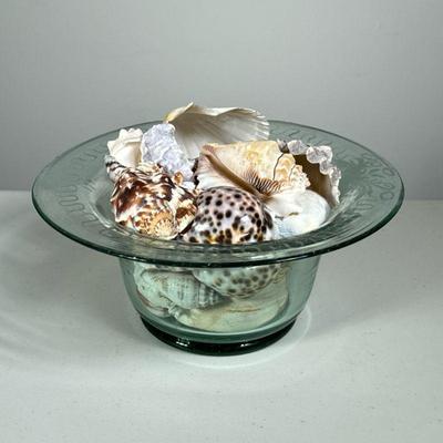SEASHELLS IN GLASS ETCHED BOWL | Mixed assortment of seashells with a glass decorative standing bowl.