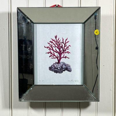 MIRROR FRAMED CORAL PRINT | Colored coral print in concave mirrored frame
