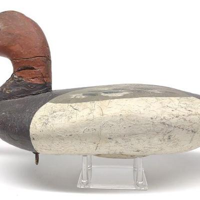 James T. Holly Canvasback Duck Decoy (1855-1935)