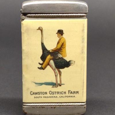Ostrich Farm Advertising Celluloid Match Safe