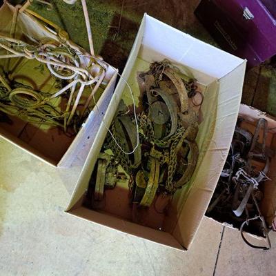 Various Traps