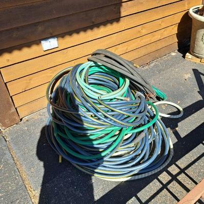 Hose 