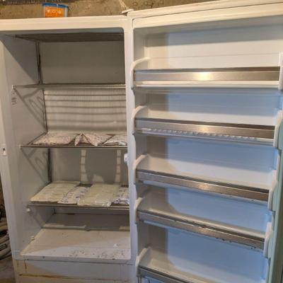 Frigidaire stand up freezer 