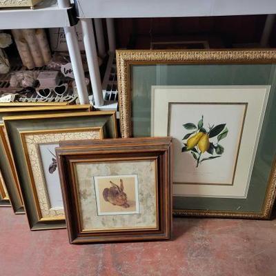 #6222 â€¢ Picture Frame Collection

