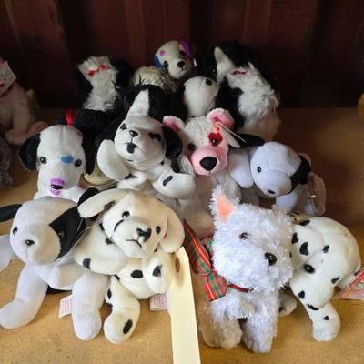 #6060 â€¢ Beanie Babies Collection
