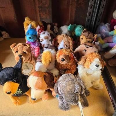 #6062 â€¢ Beanie Babies Collection
