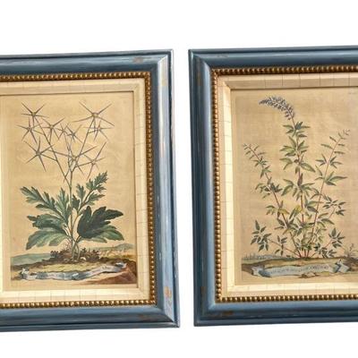 ABRAHAM MUNTING Botanical Prints, Pair