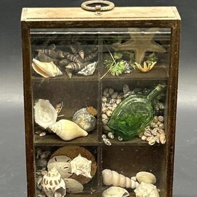 6-Part Ocean Display w/ Seashells & Sea Glass