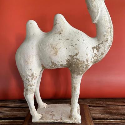 Tang Dynasty camel, stoneware, Chinese
