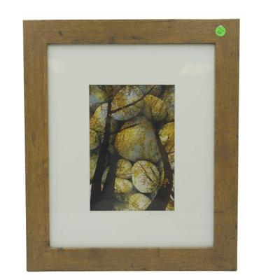 JIM SOKOLIK (1952-2023) FRAMED NATURE PHOTOGRAPH