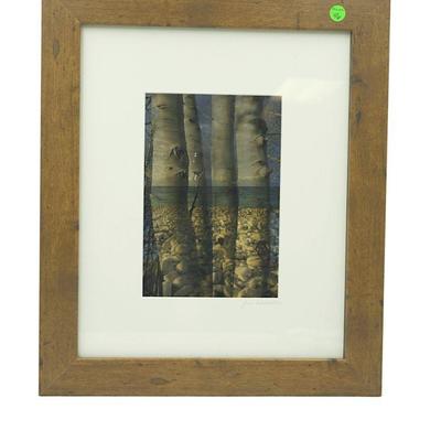 JIM SOKOLIK (1952-2023) FRAMED NATURE PHOTOGRAPH