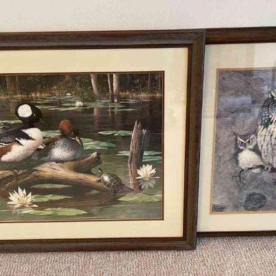 Richard Hinger "Screech Owl" Framed Print * A.J. Rudisill Framed Print
