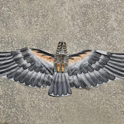 Lot 425 | Chinese Silk Eagle Kite
