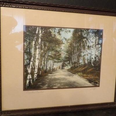 New Hamshire Artist Photographer By Sawyer Entitled Groveton Birches