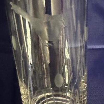 BUY IT NOW! $6 Set of 10 Goose Flying from grass Highball glasses Etched