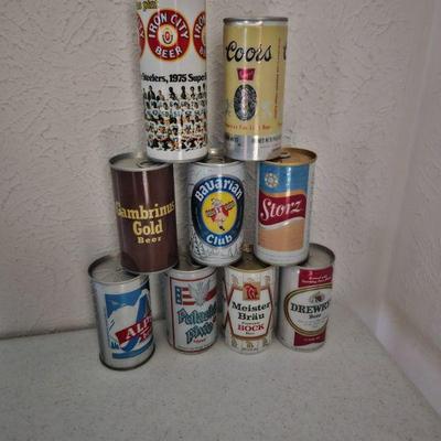 beer cans (many more not pictured)