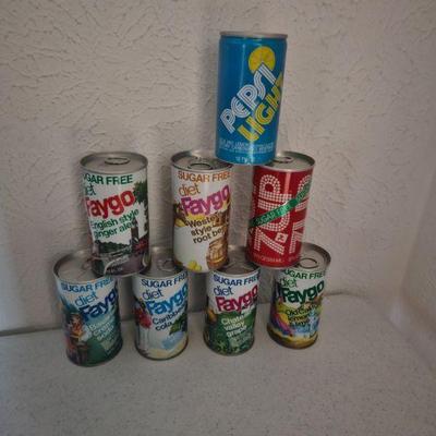Soda cans (many more not pictured)