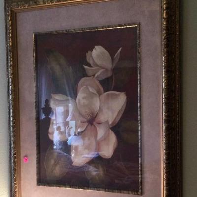Magnolia picture