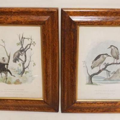 1136	PAIR OF FRAMED ENGLISH LITHOGRAPHS IN THE GARDEN OF THE ZOOLOGICAL SOCIETY, THOMAS KELLY & CO, EACH APPROXIMATELY 12 IN X 14 IN

