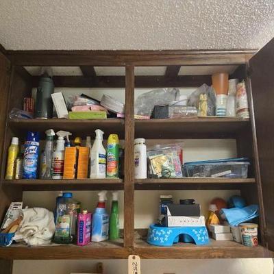 #2532 â€¢ Light Bulbs, Paper Plates, Disposable Cups, Cleaning Supplies
