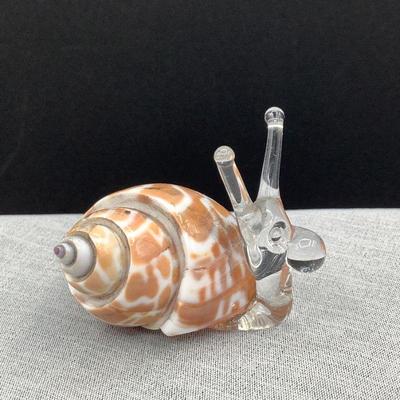 Tiny Glass Snail in Shell