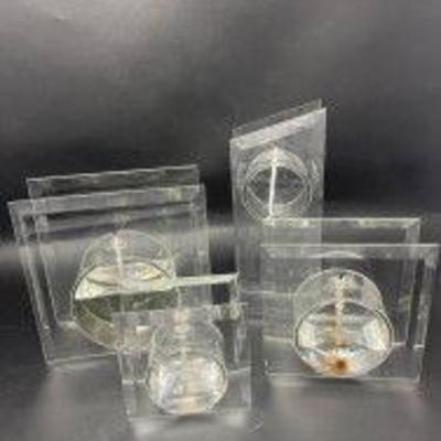Four Glass Geometric Candles
