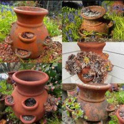 Five Outdoor Large Clay Pots