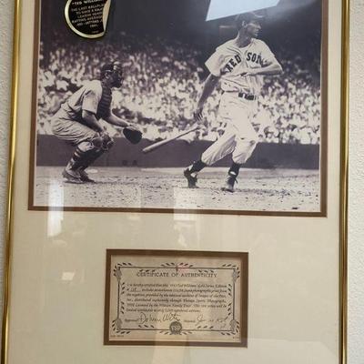 Ted williams