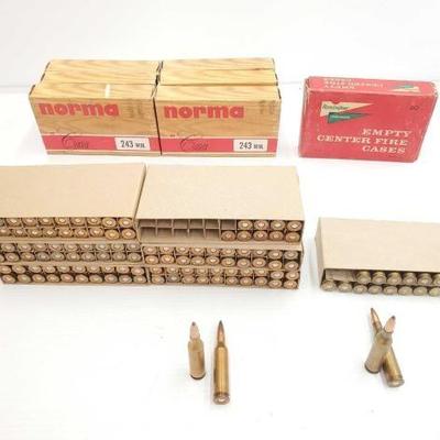 #1432 â€¢ 131 Rounds of Norma & Remington .243win Ammo

