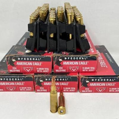 #1462 • 100 Rounds of 225 Valkyrie Ammo
