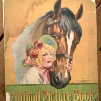 Animal Picture Book as Found
