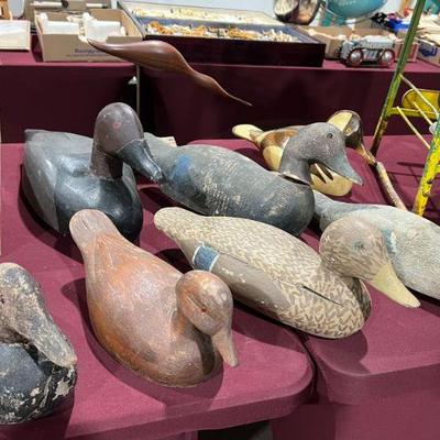 Wooden duck decoy collection