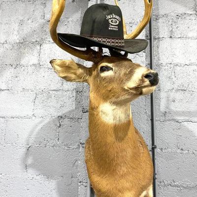 Deer Mount