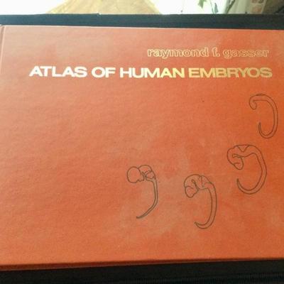 Medical book, Atlas of Human Embryos 