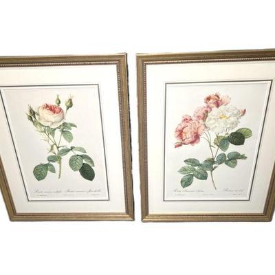 Pair Of Pierre J. Redoute Botanical Rose Prints
