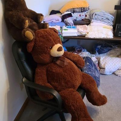 Teddy Needs a Home! 