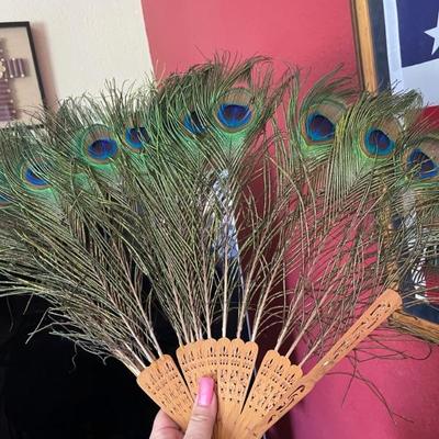 Peacock fan 