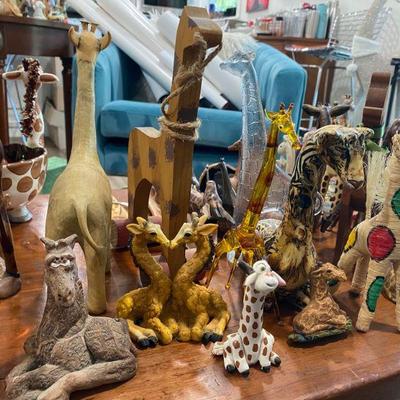 Giraffes and more Giraffes from all around the world