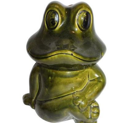 Neil the Frog Cookie Jar