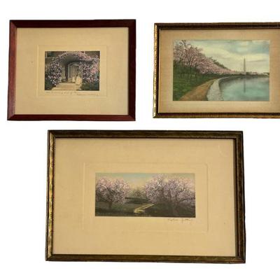 Collection Three WALLACE NUTTING Painted, Signed Photograph Prints, Washington D.C., Cherry Blossoms
