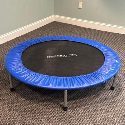 MINI TRAMPOLINE | Home gym small round exercise trampoline. - dia. 48 in

