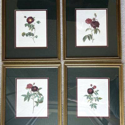 Set Of Four Rose Prints
