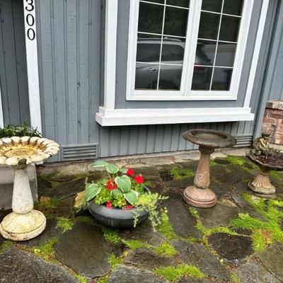 Fountains
