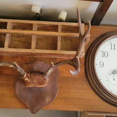 Mounted Horns and things for your walls