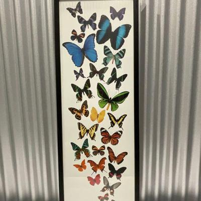 Butterfly Print