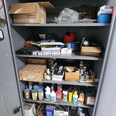 ABS225 - 2-Door Metal Storage Cabinet and Contents 