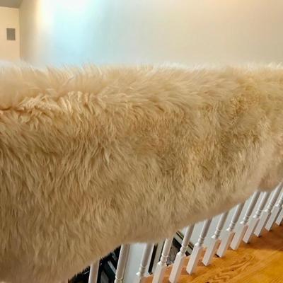 sheep skin $250