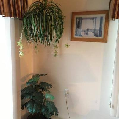 Faux plants, several available; 2 matching faux hanging spider plants available)
