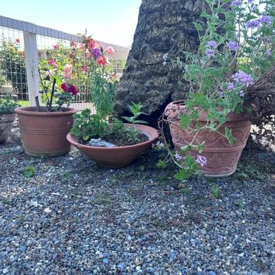 Yard sale photo in Geyserville, CA