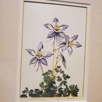 Colorado Columbine
Lyman Byxbe – Colorado
Hand Colored Etching
